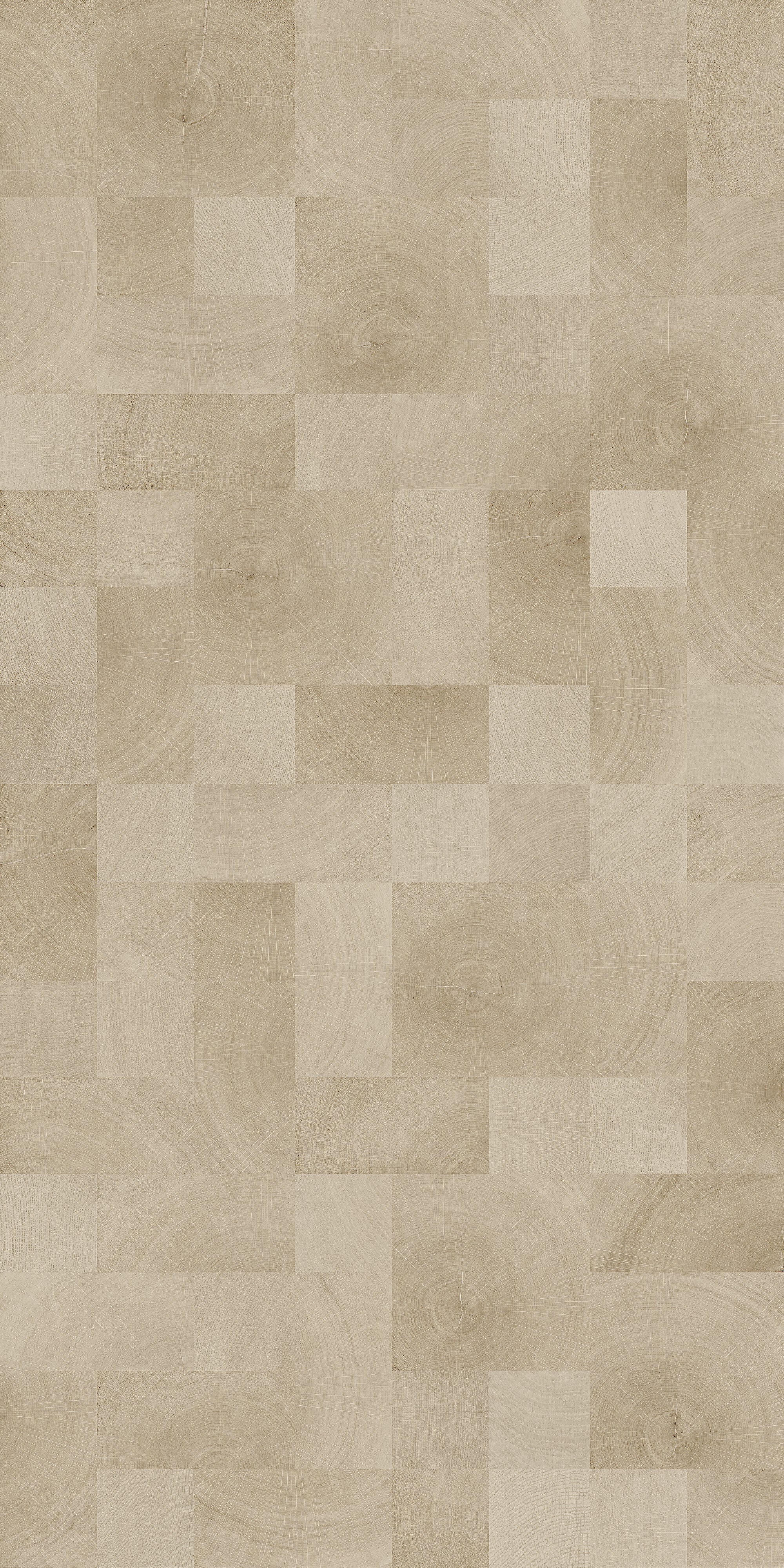 Light Natural Oak wood-look sintered stone full slab pattern