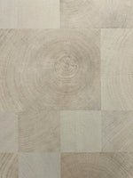 Gros plan de carrés à veinage bois clair montrant des cernes de croissance circulaires — pierre frittée Light Natural Oak Wood Look