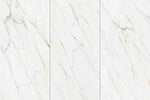 NORWEGIAN GOLD SILK WHITE حجر متكلس Funtek