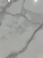 لقطة مقربة لبطن السمكة الملكية، لوح حجري أبيض متكلس يظهر عروقًا ناعمة تشبه الرخام الأبيض، منظر أمامي