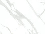 ST. BLANC FISH BELLY WHITE حجر متكلس Funtek