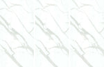 ST. BLANC FISH BELLY WHITE حجر متكلس Funtek
