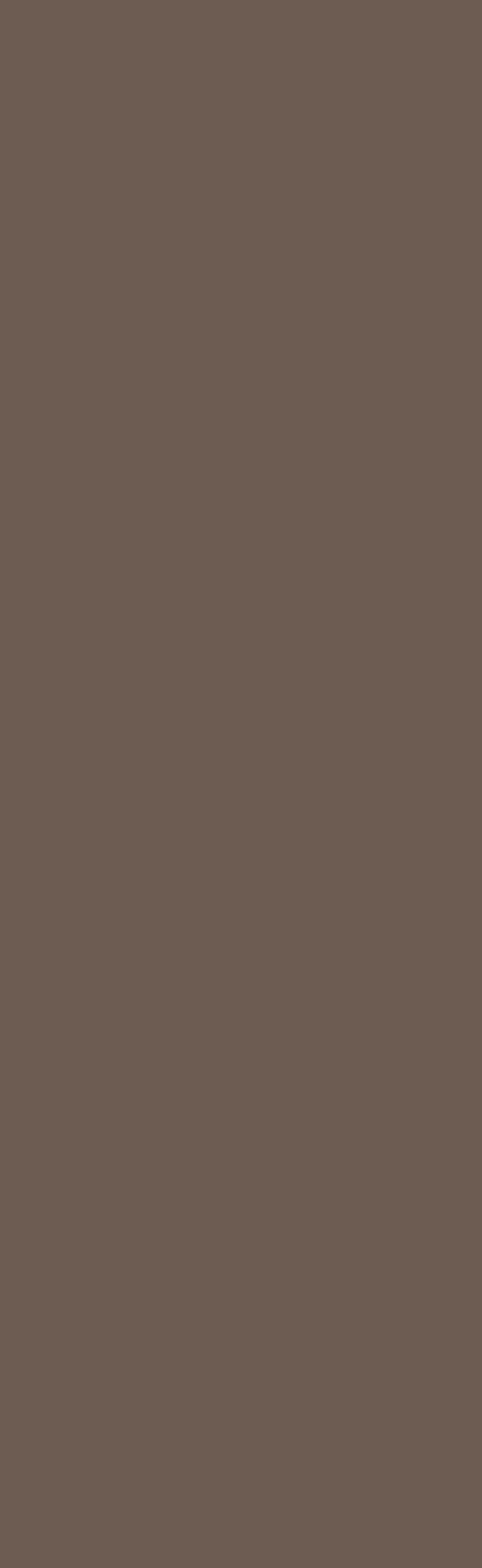 Однотонная тёмно-коричневая прямоугольная плита — спечённый камень Mocha Brown