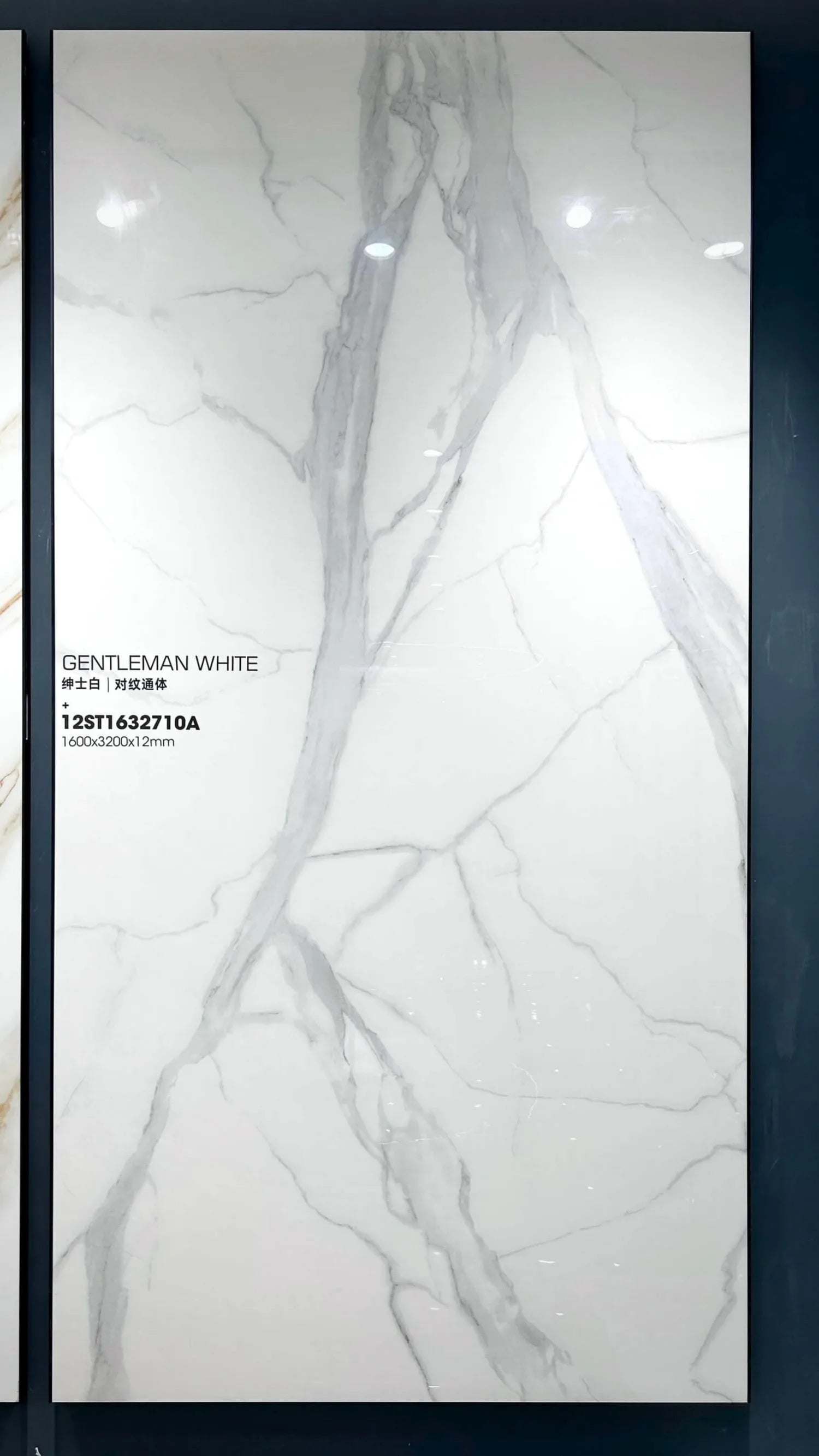 Gentleman White silver vein sintered stone slab display