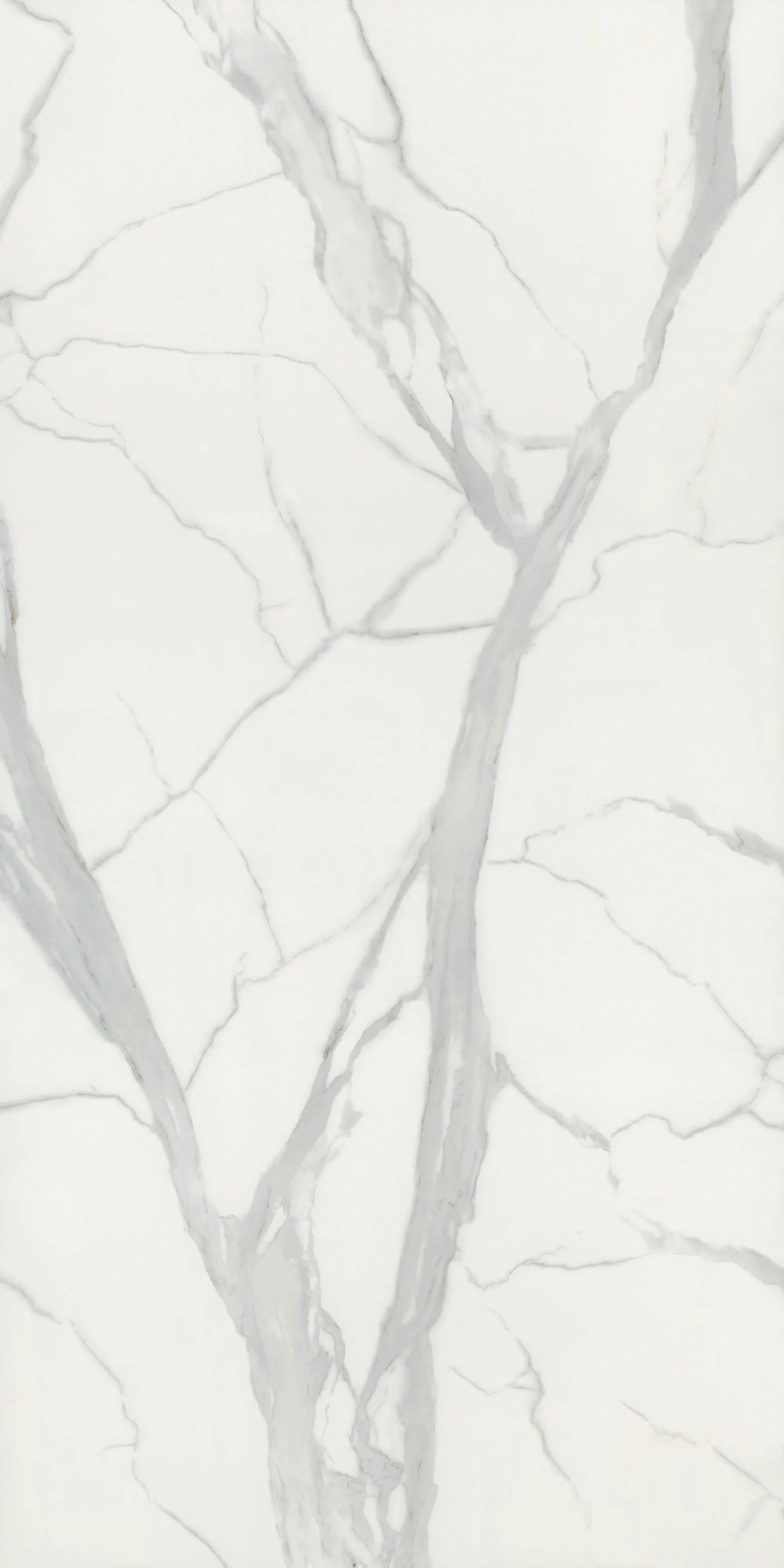 Gentleman White cool white sintered stone full slab pattern