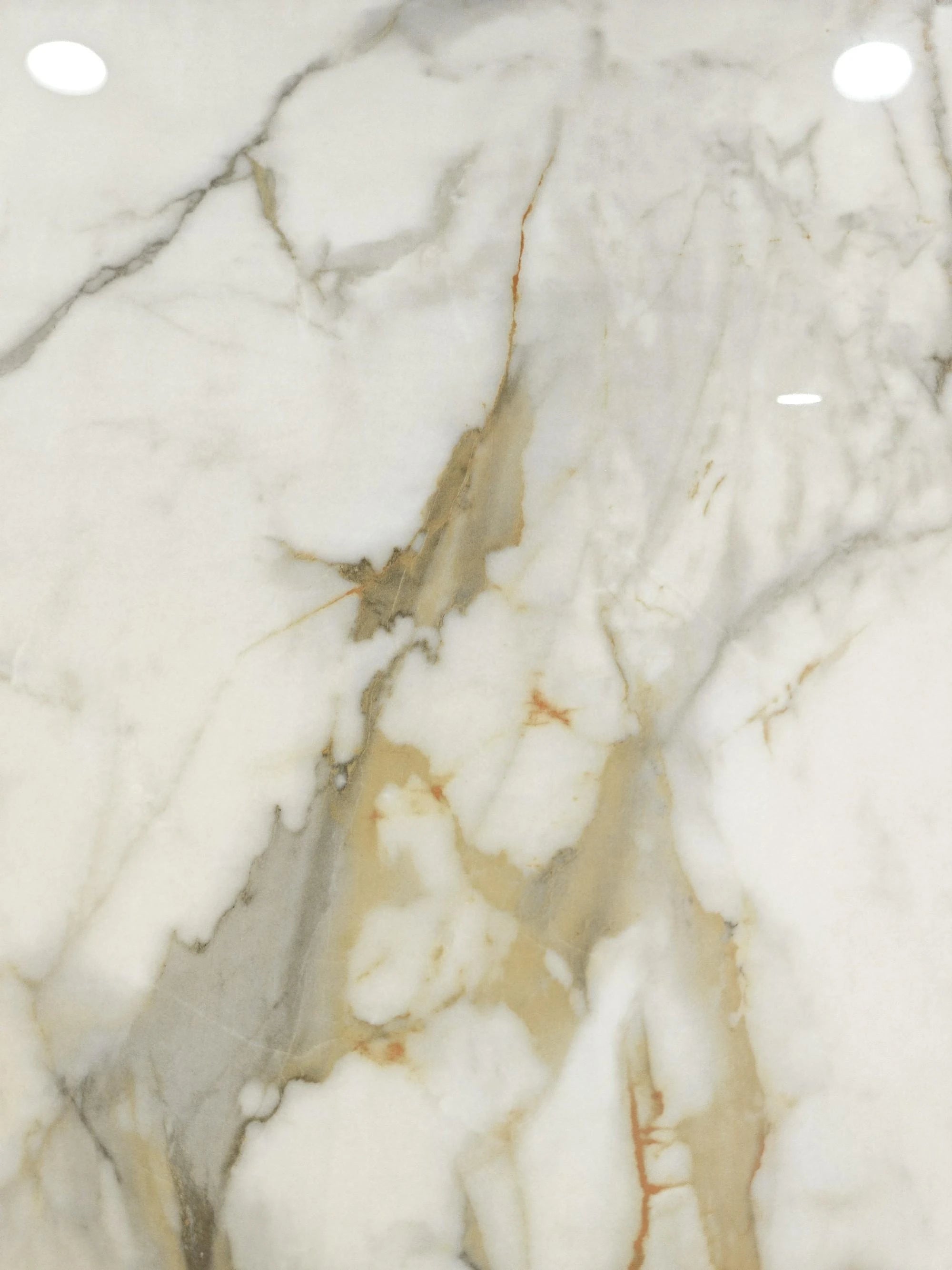 Rapace polished detail with warm gold and charcoal veining